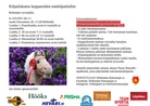 Kepparikisojen kutsu