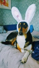 Hyvää pääsiäisen aikaa kaikille! T. Ri-ra ja Helga